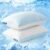 EASELAND Cooling Queen Size Firm Pillows, Shredded Memory Foam Set of 2